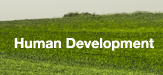 Human Development