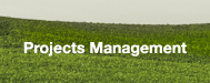 Projects Management